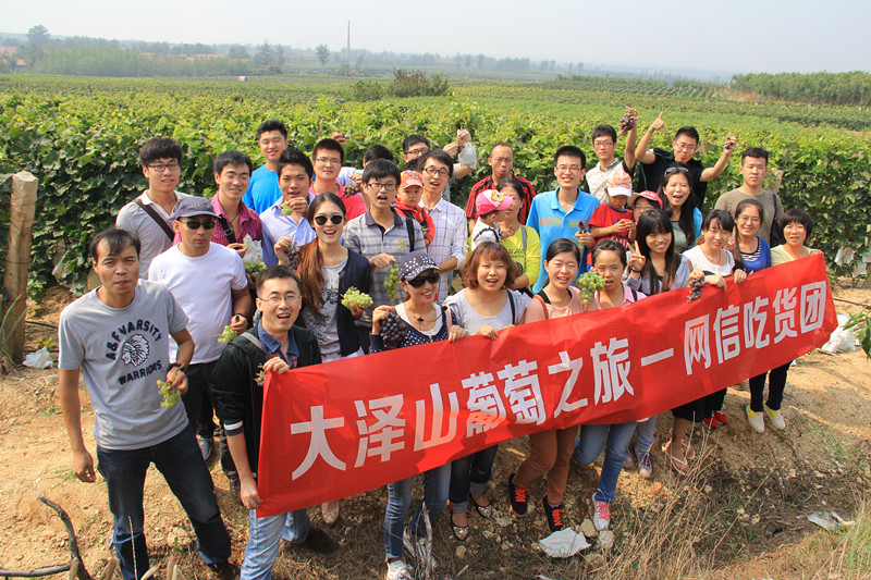 2014网信秋游活动-大泽山葡萄之旅