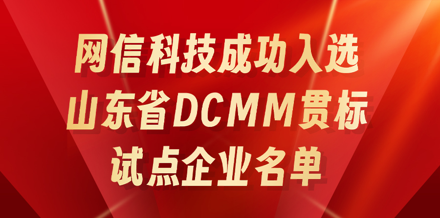 网信科技成功入选山东省DCMM贯标试点企业名单